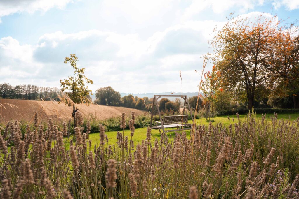 Cadre naturel pour privatisation restaurant dans le Perche