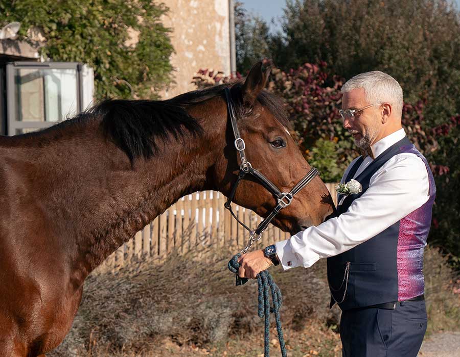 Chevaux et nature dans le Perche