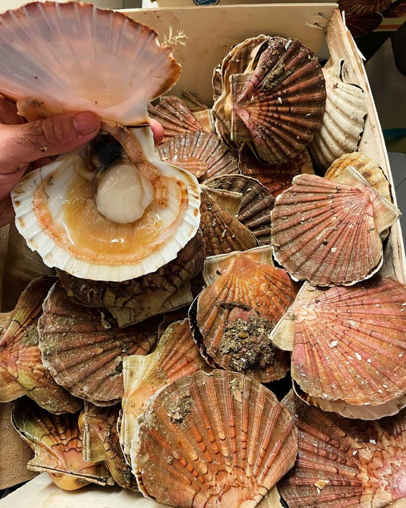Cuisine bistronomique de saison au Bistrot des Écuries, restaurant dans le Perche