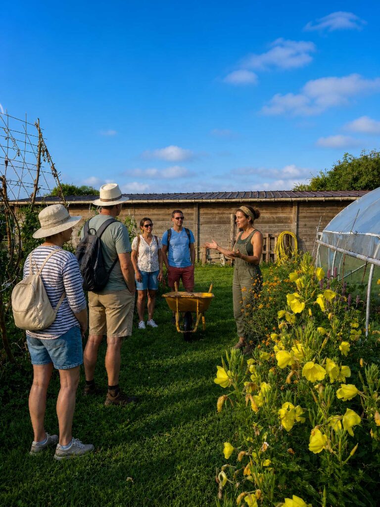 Découverte du potager et gestes de maraîchage au domaine