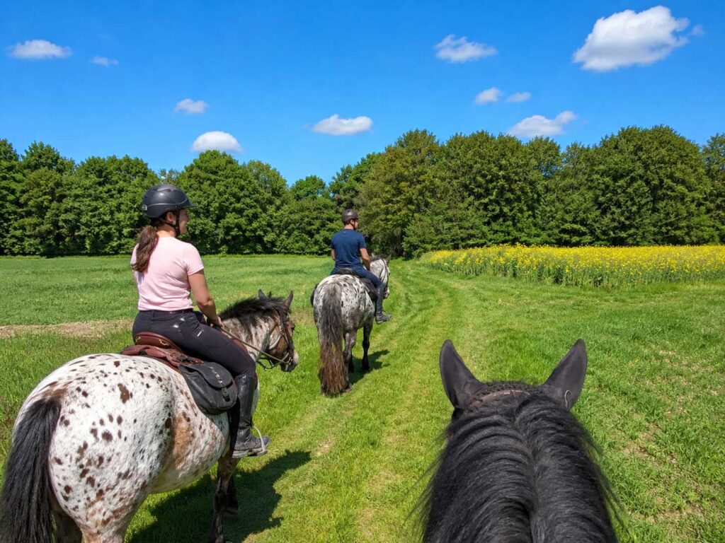 Balade à cheval dans le Perche entre chemin et bocage