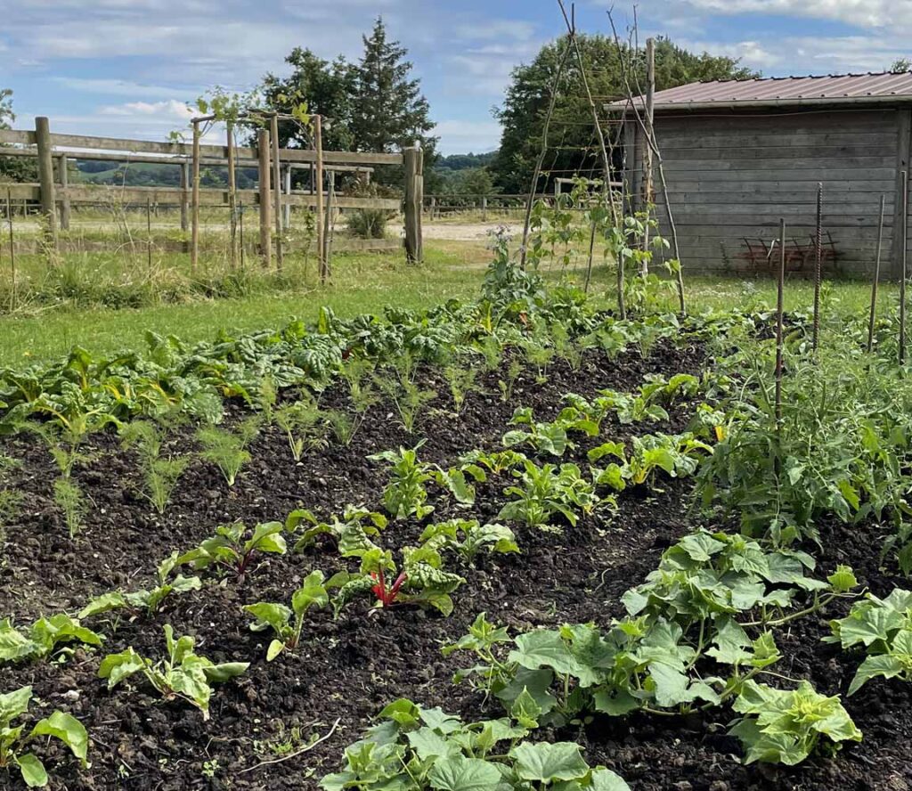 Démarche durable du Domaine des Écuries