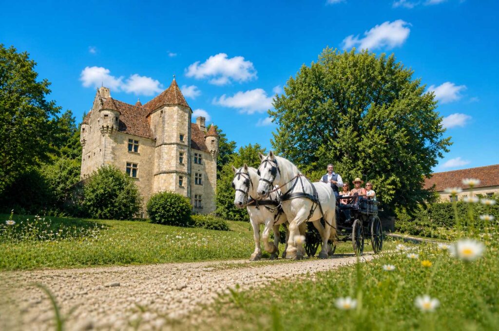 Chemins, forêt et espaces naturels à explorer autour du domaine dans le Perche