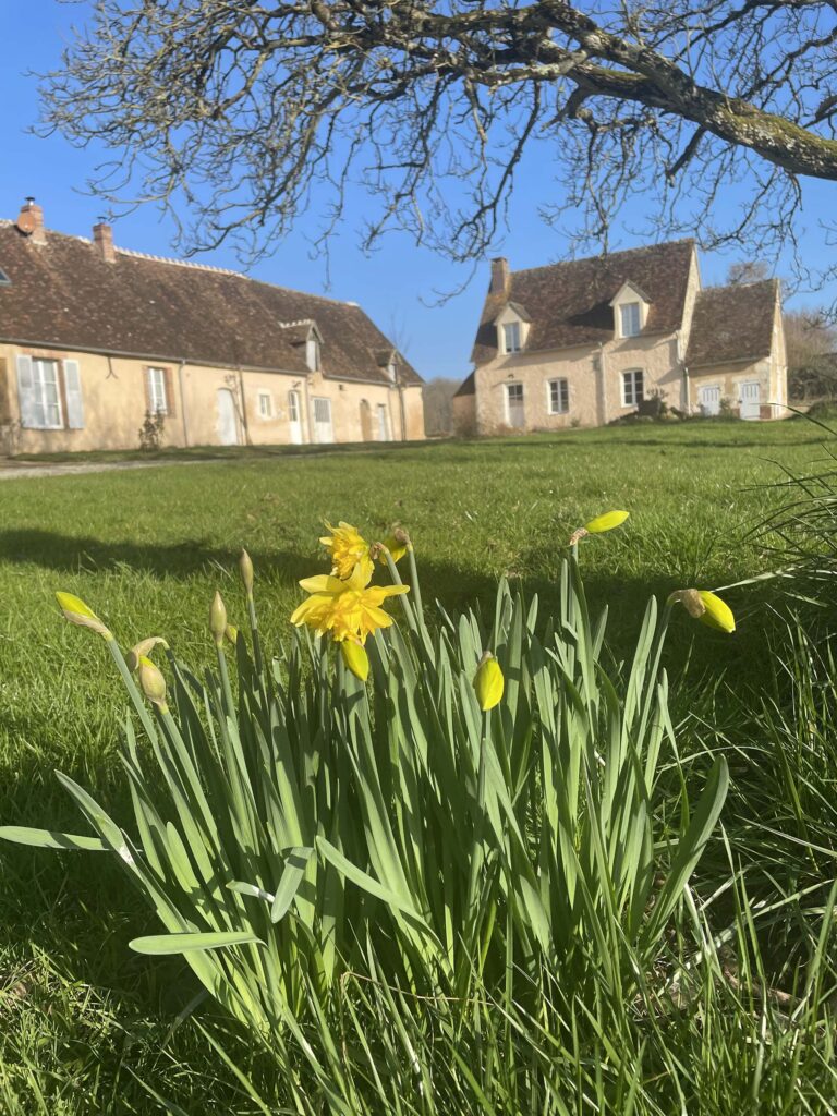 Domaine privatisable pour shooting photo dans le Perche