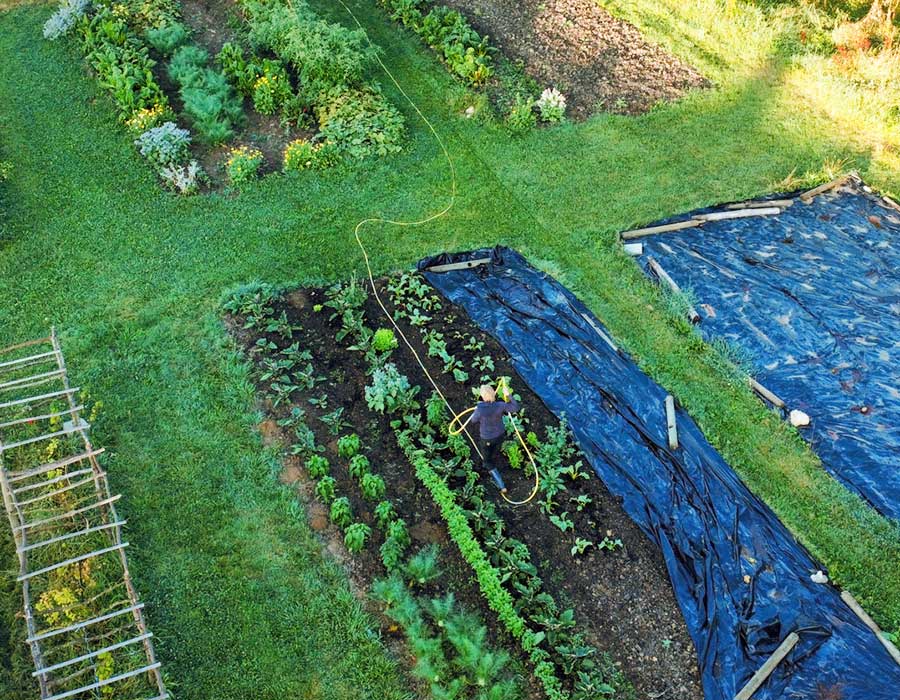 Potager et permaculture au Domaine des Écuries