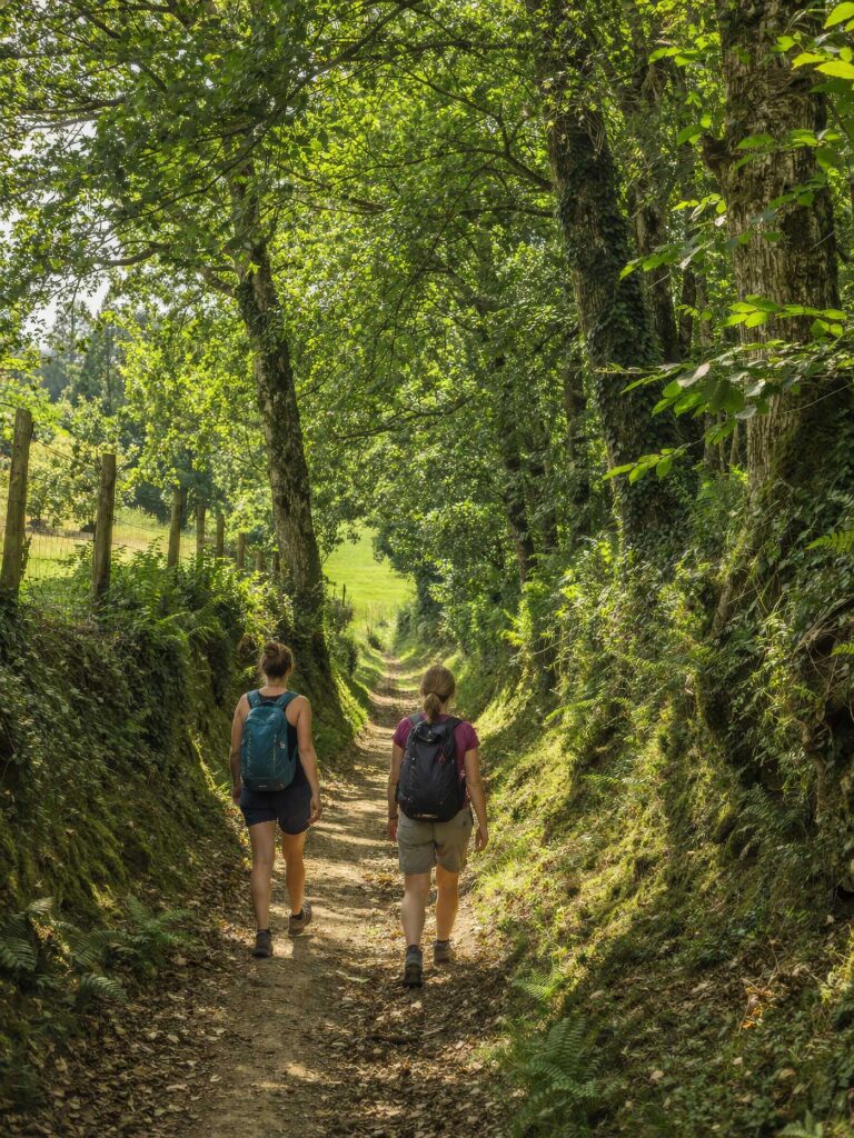 Randonnée dans le Perche sur un chemin creux entre bocage et forêt