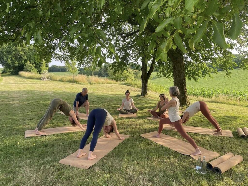 Cadre naturel du Perche autour du Domaine des Écuries yoga seminaire entreprise